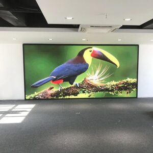 Indoor Advertising LED Screen